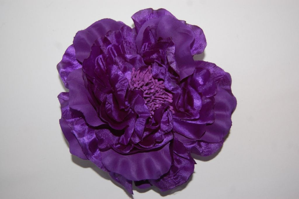 Flower wonders purple