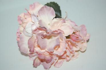 Capuchin pink corsage