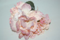 Capuchin pink corsage