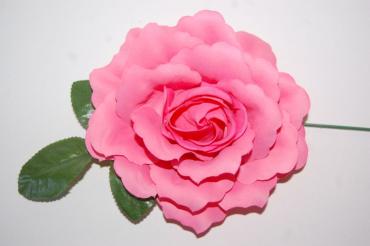 Flor Rosal Rosa intenso