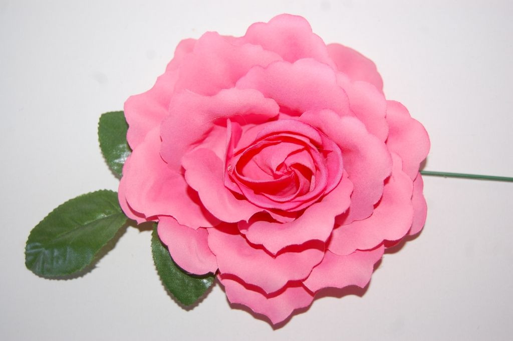 Flor Rosal Rosa intenso