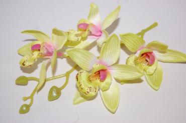 Corsage beautiful orchid lemon