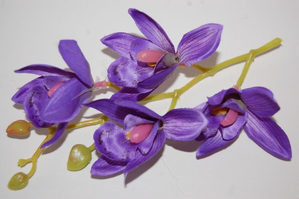 Ramillete bella orquídea morada
