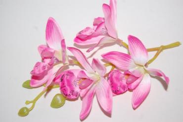 Ramillete bella orquídea rosa fucsia