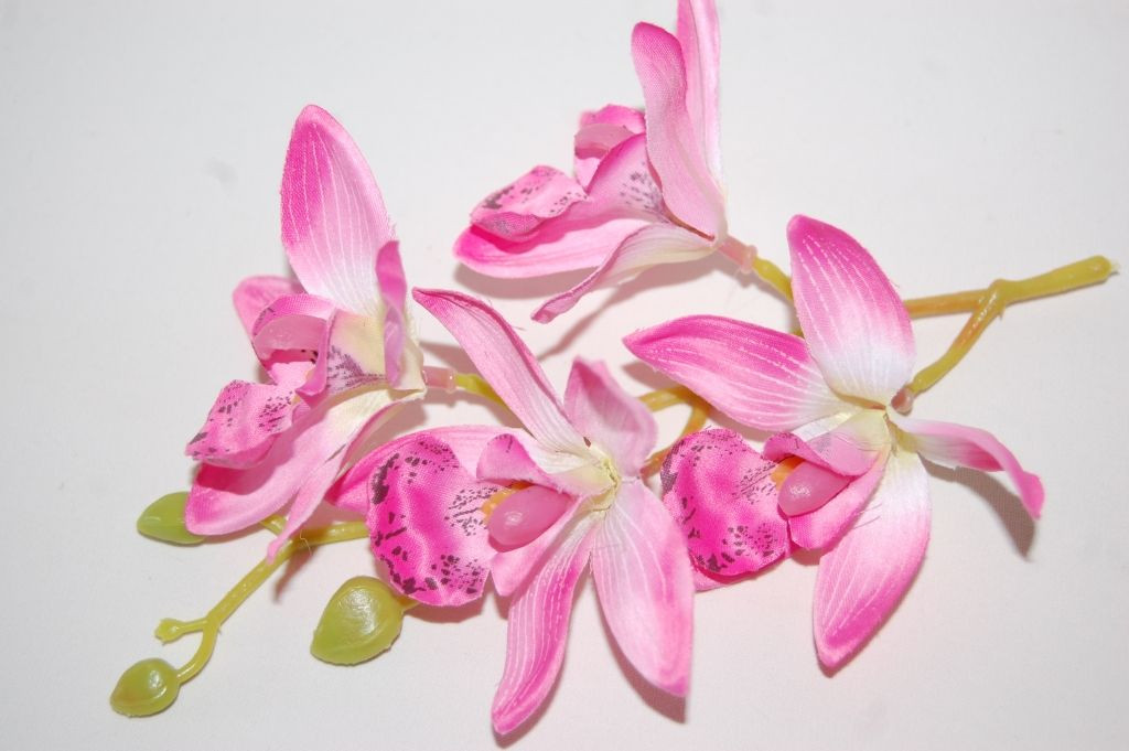 Ramillete bella orquídea rosa