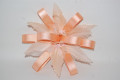 Touched salmon satin corsage