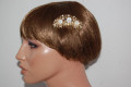 Comb loves Golden shell