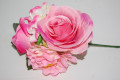 Ramillete de flores fucsia y rosa