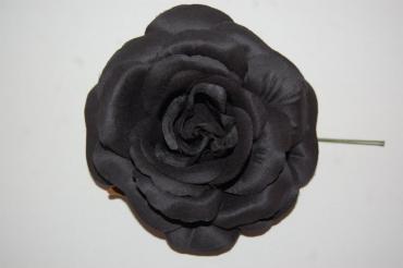 Flor negra rosa florece