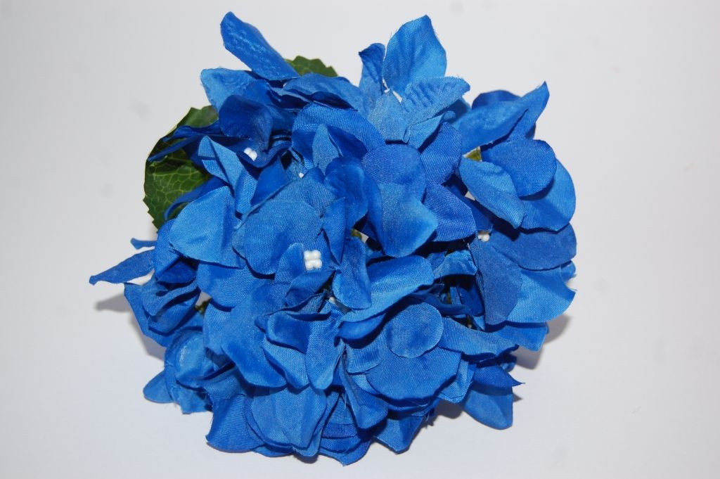 Ramillete Capuchinas azul