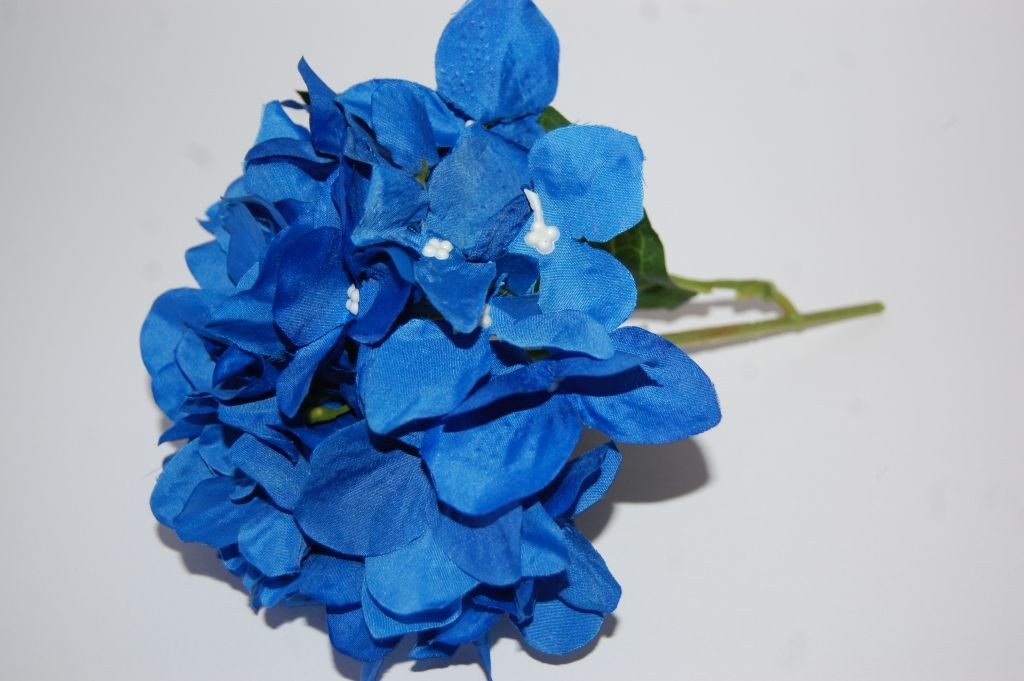 Ramillete Capuchinas azul
