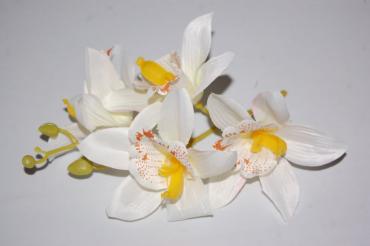 Ramillete bella orquidea blanca