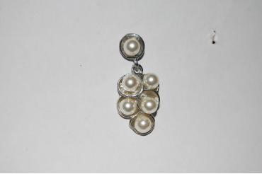 Pearl Earring grapes