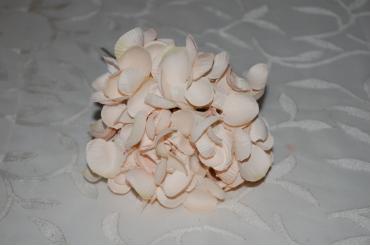 Ramillete capuchinas flores flamenca crema