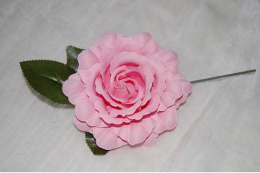 Flor flamenca rosa chicle