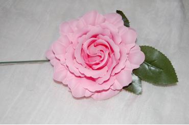 Flor flamenca rosa chicle