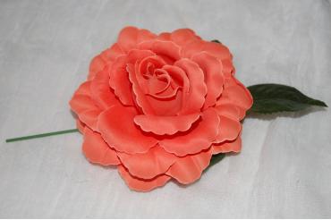 Flor flamenca coral