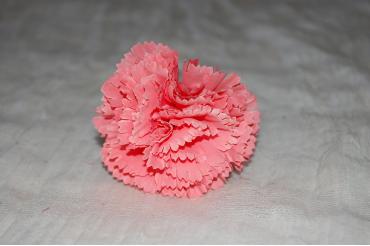 Clavel coral 8 cm