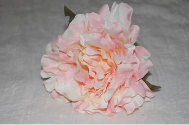 Flor Peonía beige y rosa