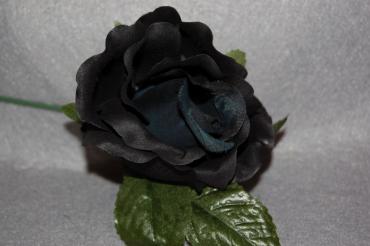 Flor pequeña negra