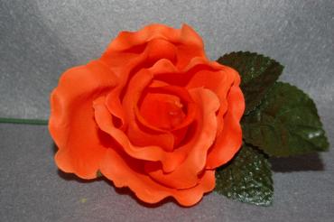 Flor naranja pequeña