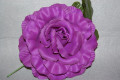 Purple flower xxl