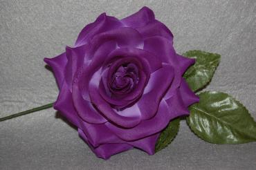 Purple flower orange blossom