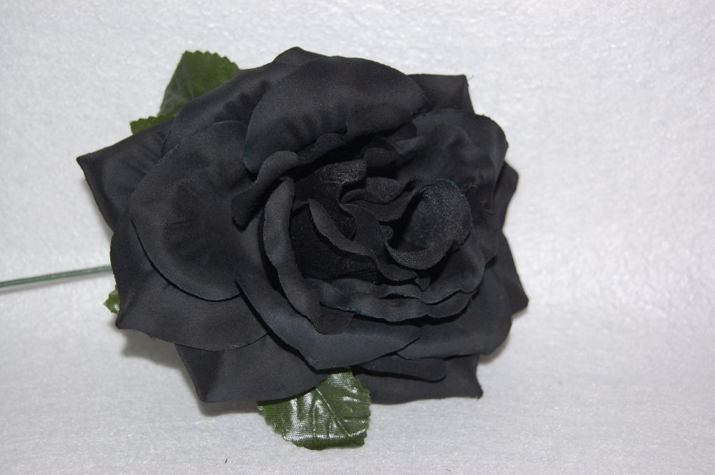 Black flower giralda