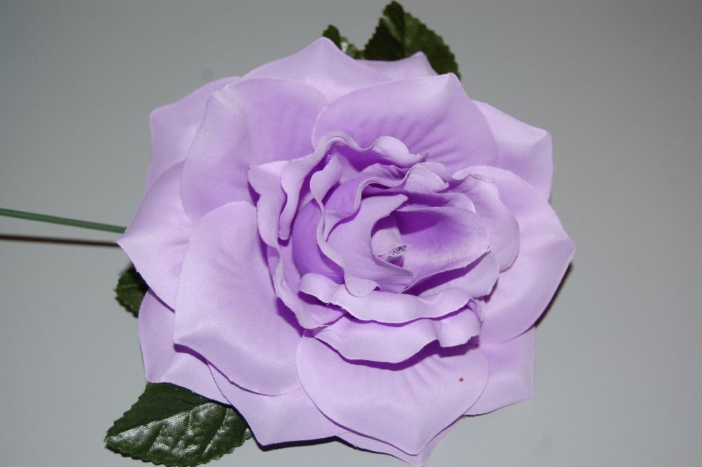Flor sevilla violeta