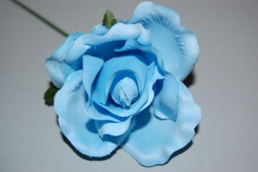Small blue flower 1