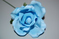 Small blue flower 1