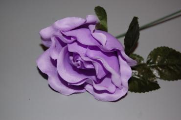 Flor pequeña violeta 1
