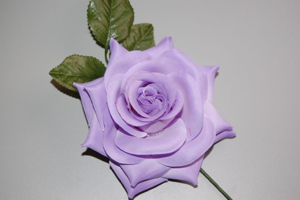 Muchas Felicidades, Violetta!!  Flor-violeta-azahar