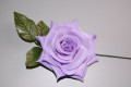Flor violeta azahar