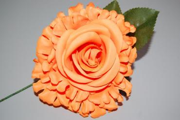 Orange trimmed flower