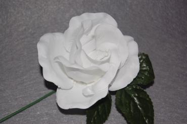 Flor blanca pequeña