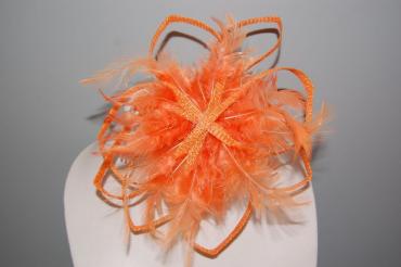 Touched wings Orange Telma