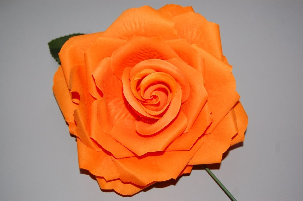 Flor andaluz naranja