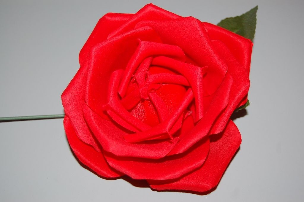 Flor Alvero roja