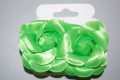 Conjunto pinzas flor verde