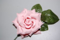 Flor de niña rosa