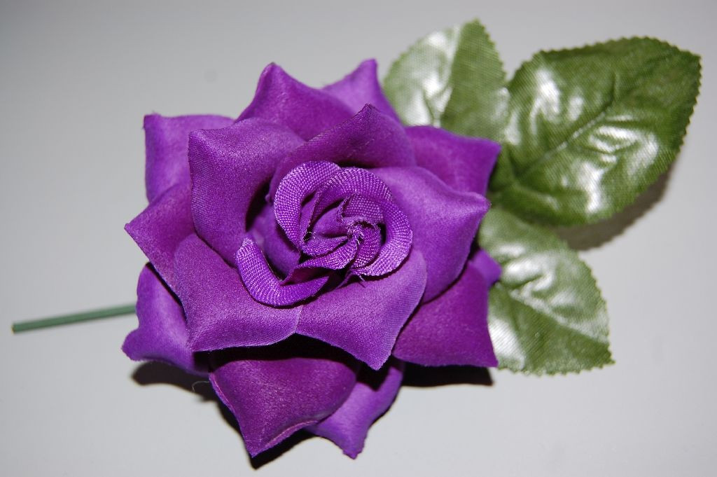 Nina purple flower