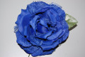 Flor abanico azul
