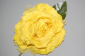 Flor abanico amarilla