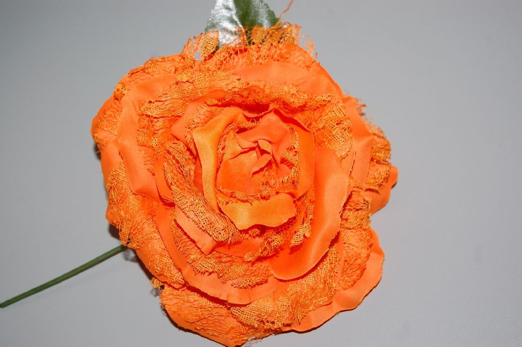 Flor abanico naranja pálido