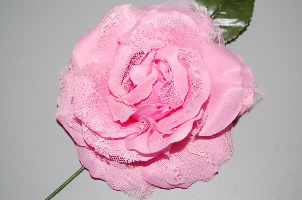 Flor abanico rosa