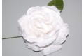 Flower fan white