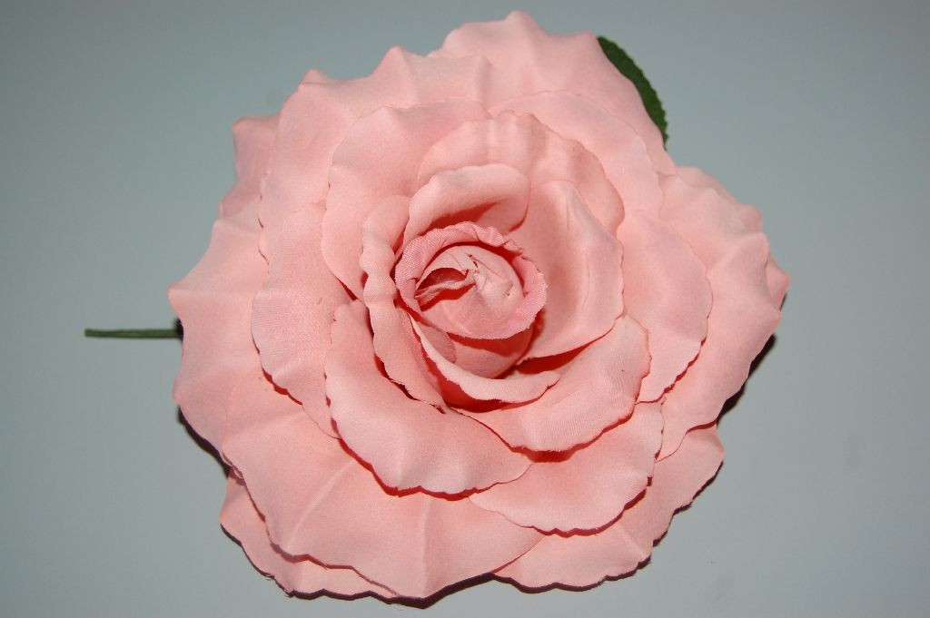 Flor Rocío rosa palo