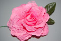 Flor abanico rosa chicle