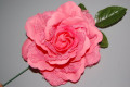Flor abanico rosa elegante